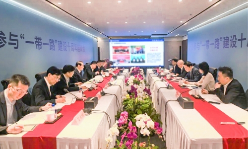 浙商参加“一带一路”建设10周年座谈会召开，，，，，，陈蕾董事长受邀参会并作主题讲话